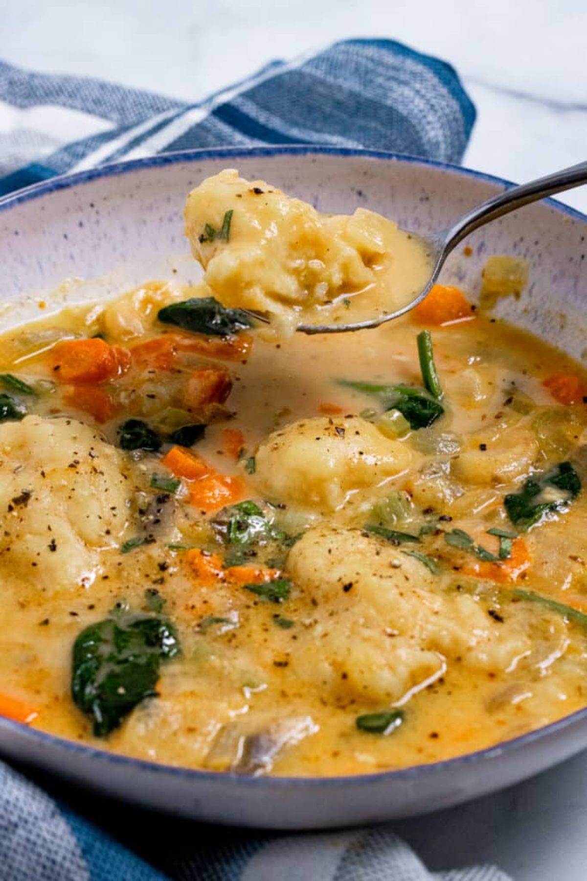 a white and blue bowl filled with stew and dunplings