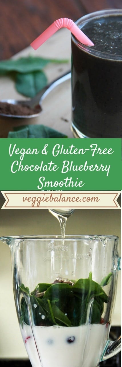 Chocolate Blueberry Smoothie - Veggiebalance.com