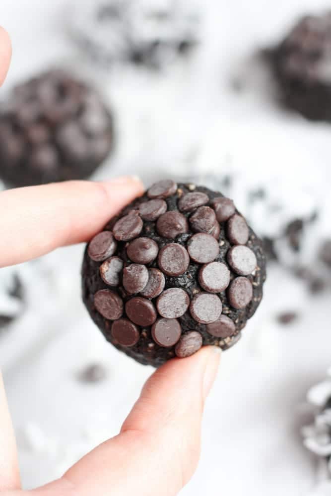 Healthy Chocolate Truffles {Gluten-Free, Low-Sugar} - Veggiebalance.com