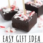 PINTEREST IMAGE with words "Easy gift idea hot chocolate on a stick" Hot Chocolate on a Stick with crushed peppermint candy on top
