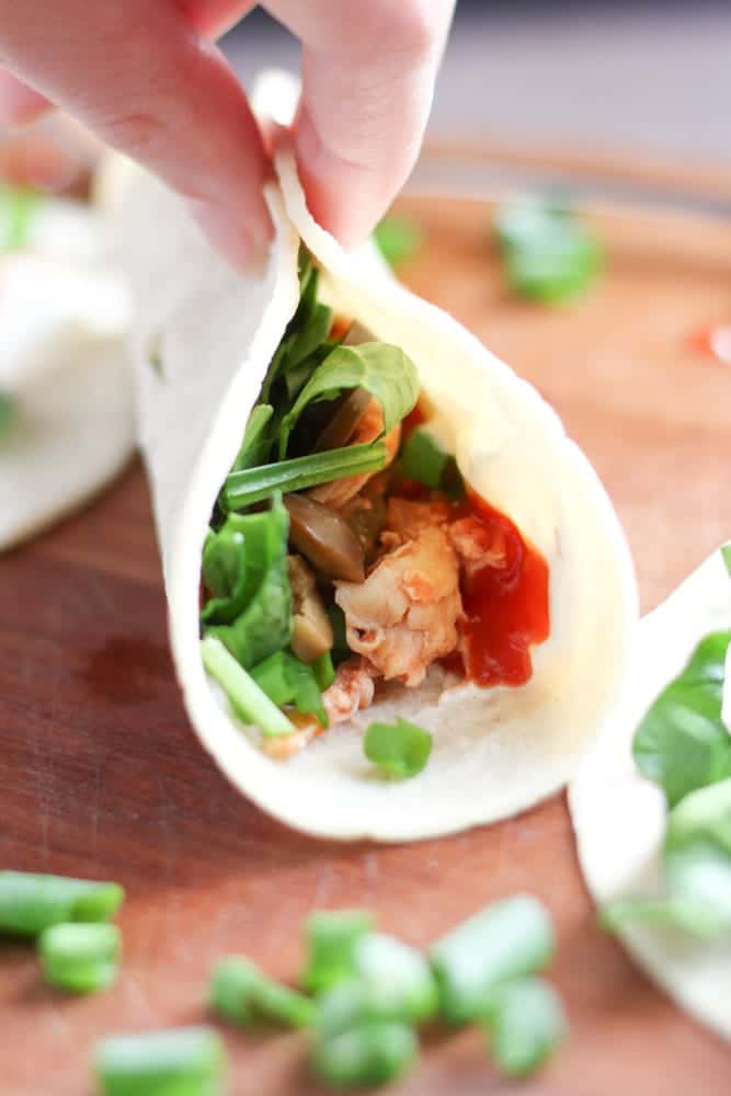 Crockpot Shredded Chicken in Corn Taco holding