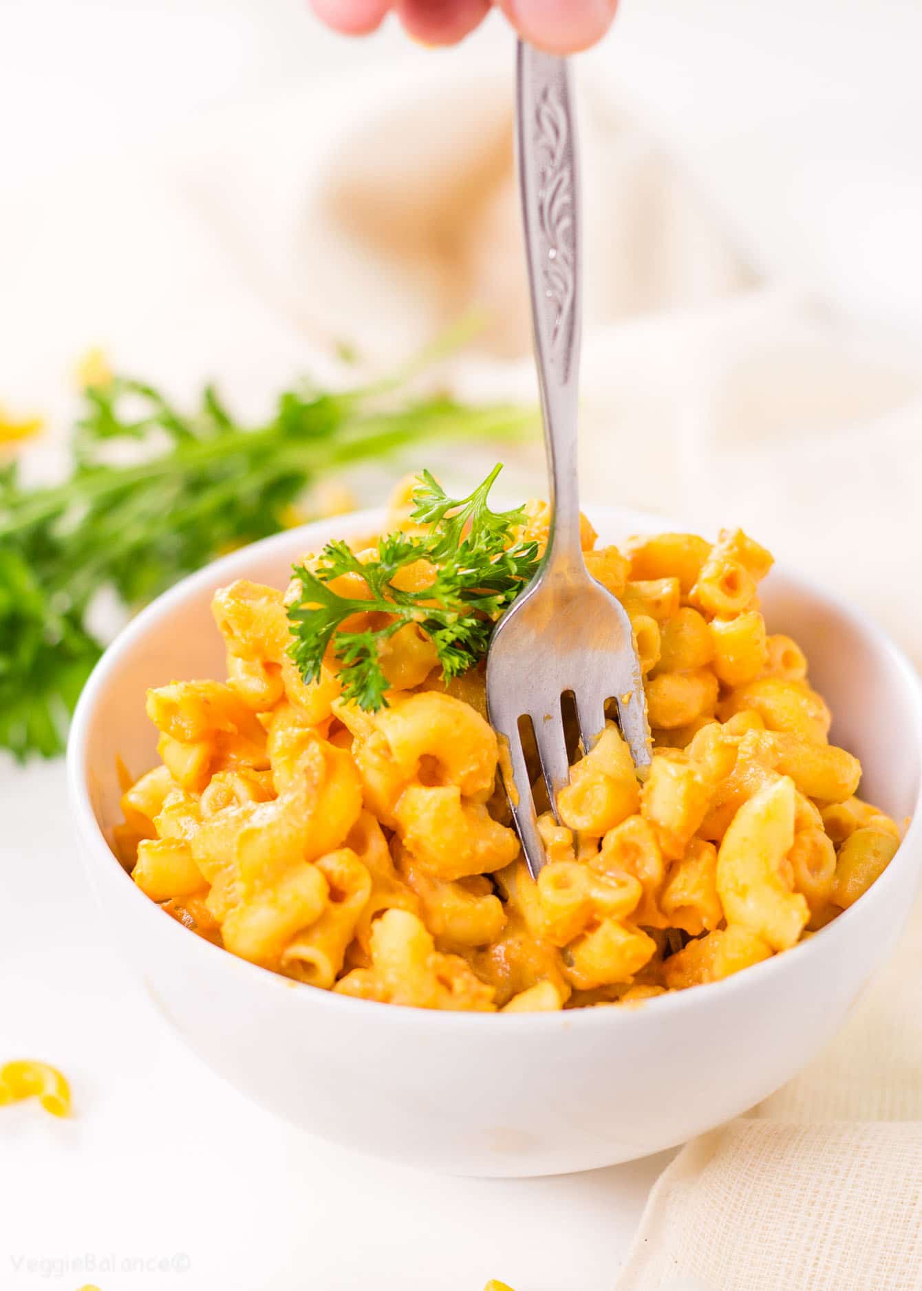 Vegan Mac and Cheese recipe