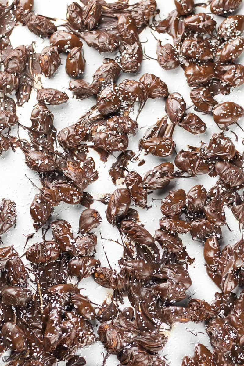 Dark Chocolate Covered Almonds recipe - Veggiebalance.com