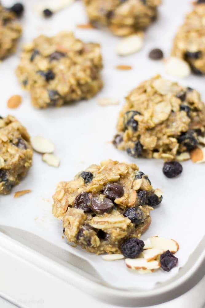 Blueberry Breakfast Cookies healthy and Gluten Free - Veggiebalance.com