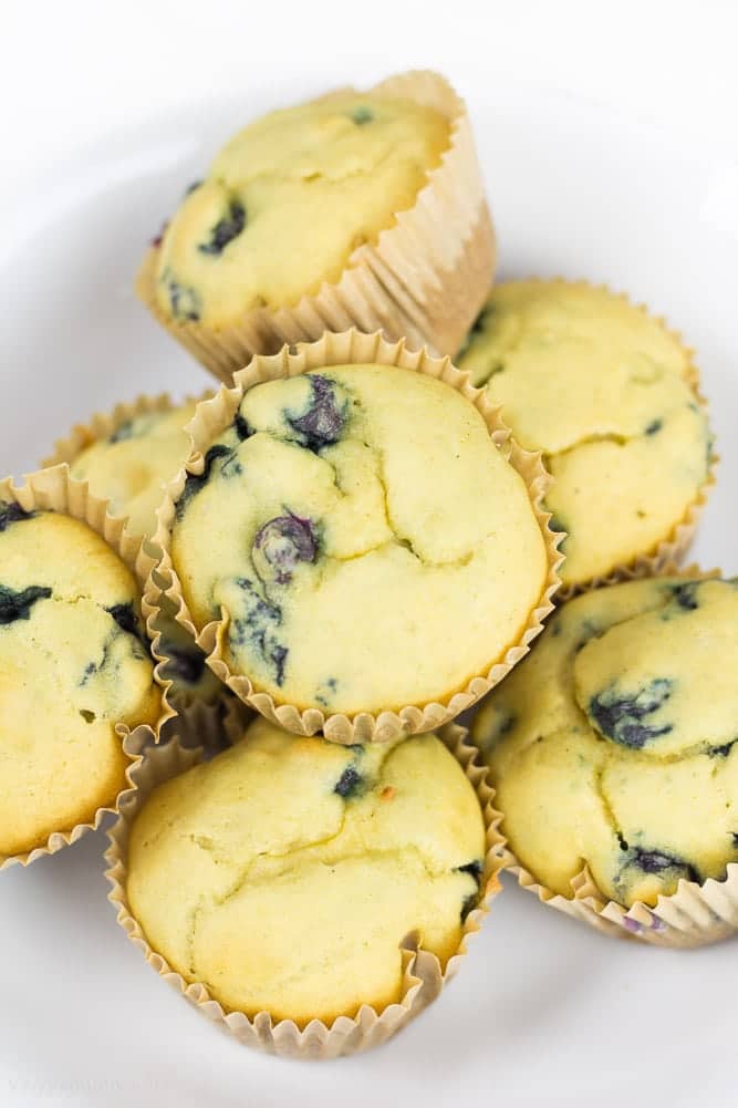 Healthy Blueberry Muffins  Gluten Free, Dairy Free, Vegan - Veggiebalance.com