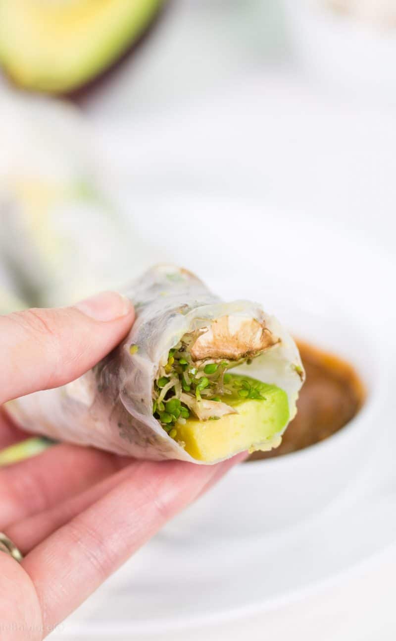 Fresh Spring Rolls with Avocado and Thai Peanut Dipping Sauce Recipe