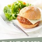 Vegan Plant-Based Sloppy Joes