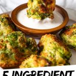 PINTEREST IMAGE with words "5 ingredient Broccoli Tots" broccoli tater tots being dipped into white sauce.