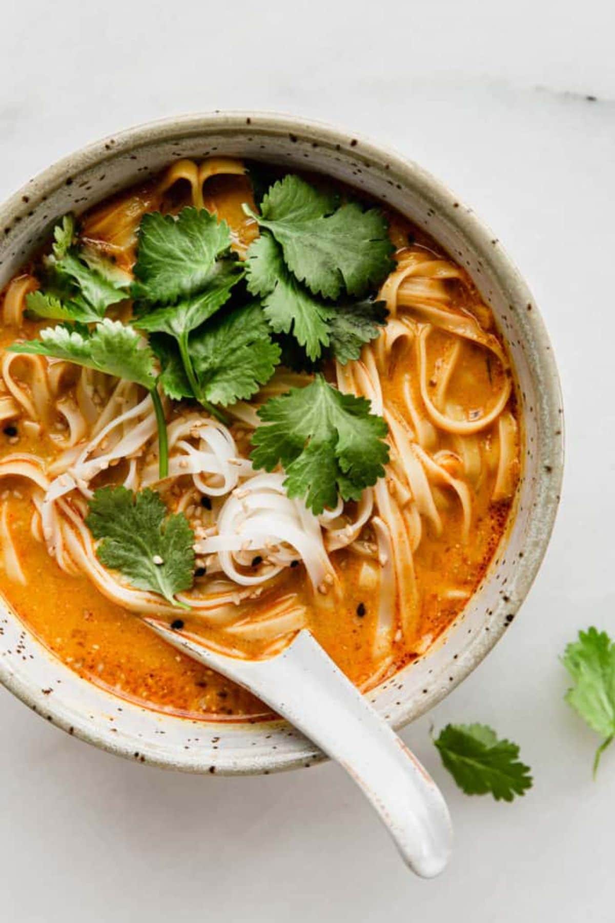 a white bowl with a china spoon filled with noodle soup, topped with cilantro