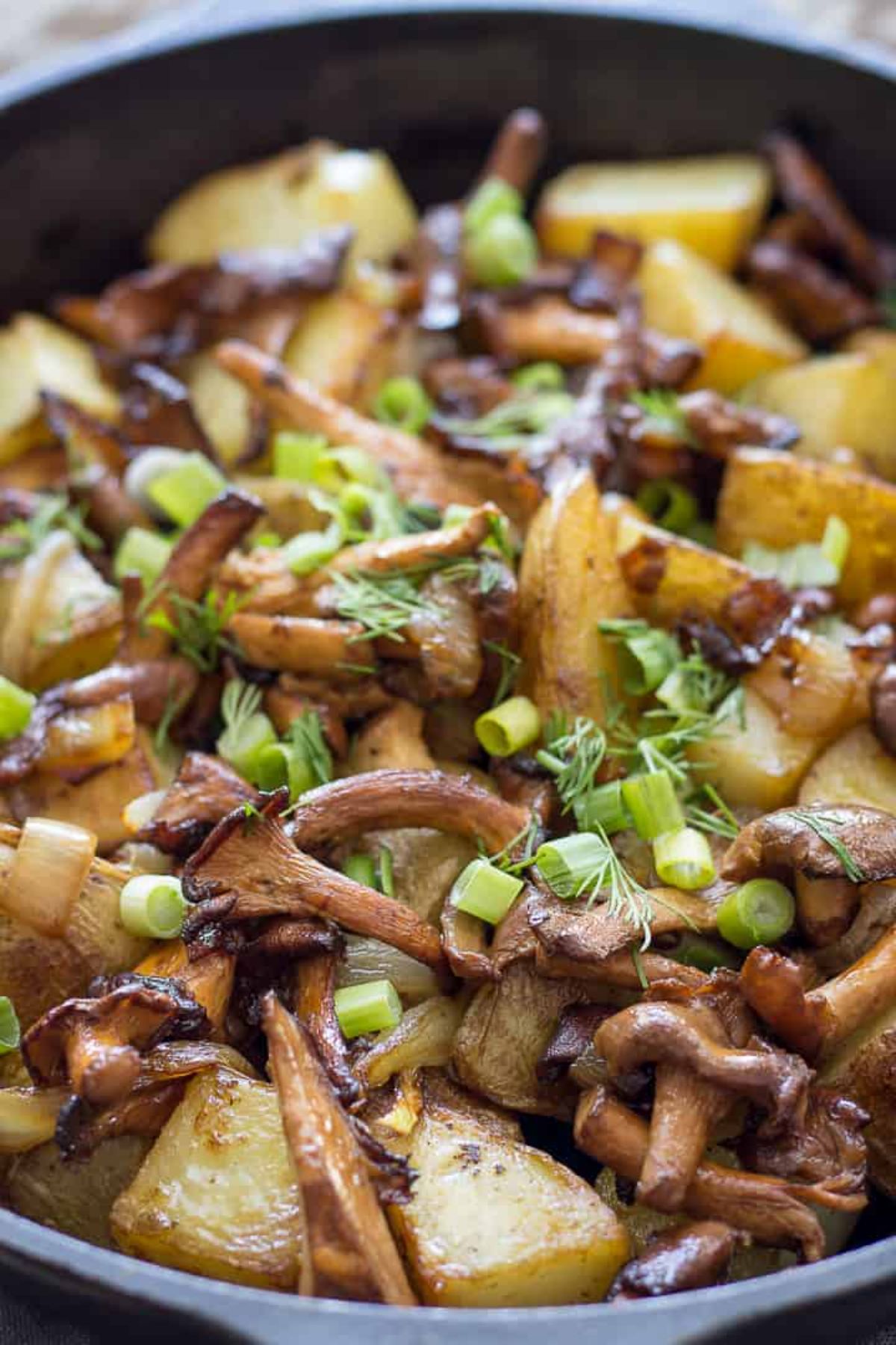 a close up of a cast iron skillet filled with fried chanterelle mushrooms and potatoes topped with chopped scallions